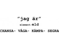 Astrologi Element Karaktärsdrag Väduren